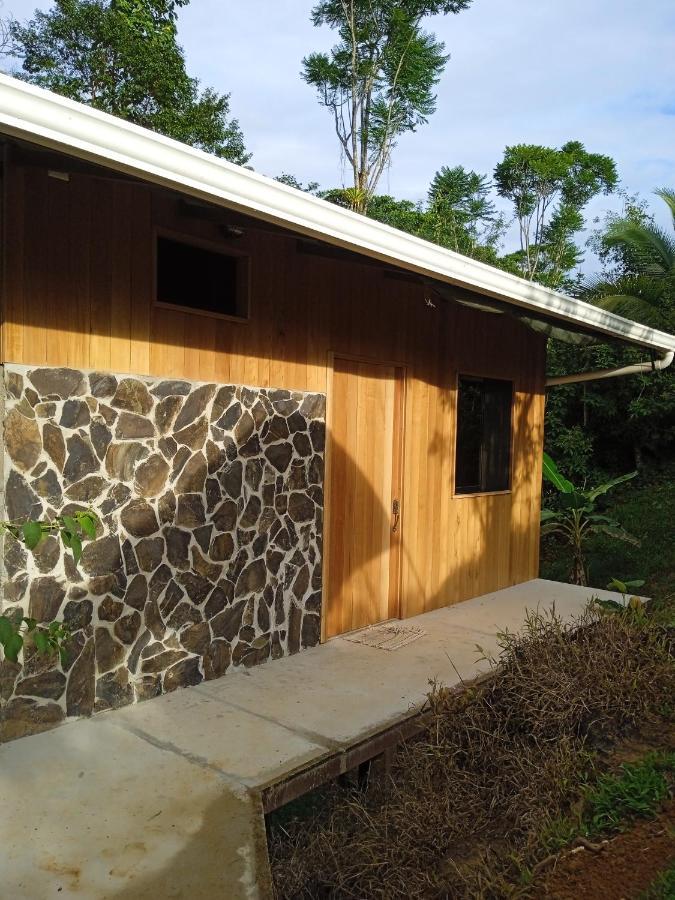 Cabanas Bajo Bosque Drake Drake Bay Exterior photo