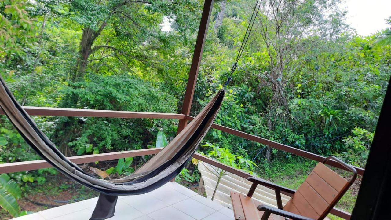 Cabanas Bajo Bosque Drake Drake Bay Exterior photo