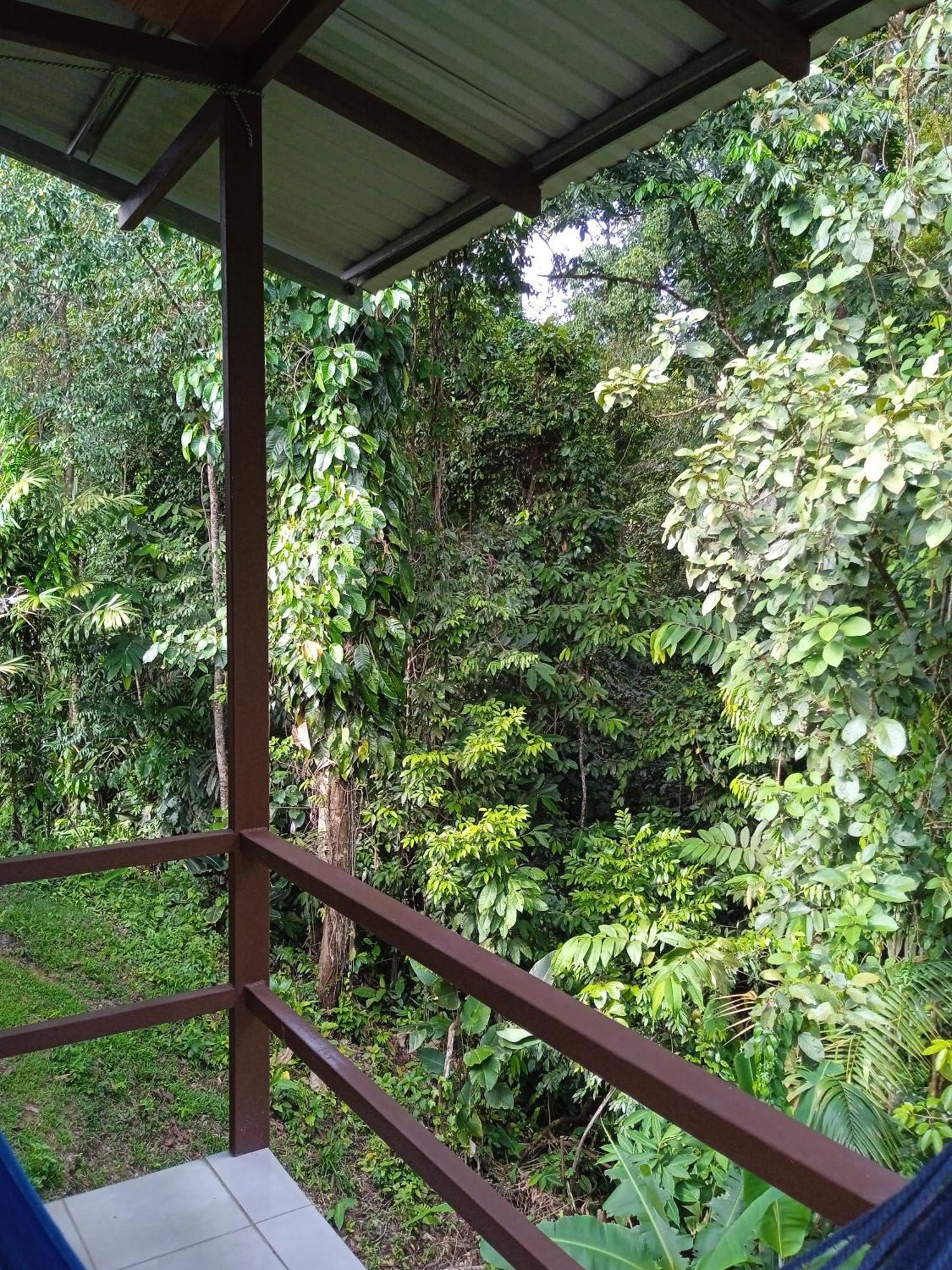 Cabanas Bajo Bosque Drake Drake Bay Exterior photo