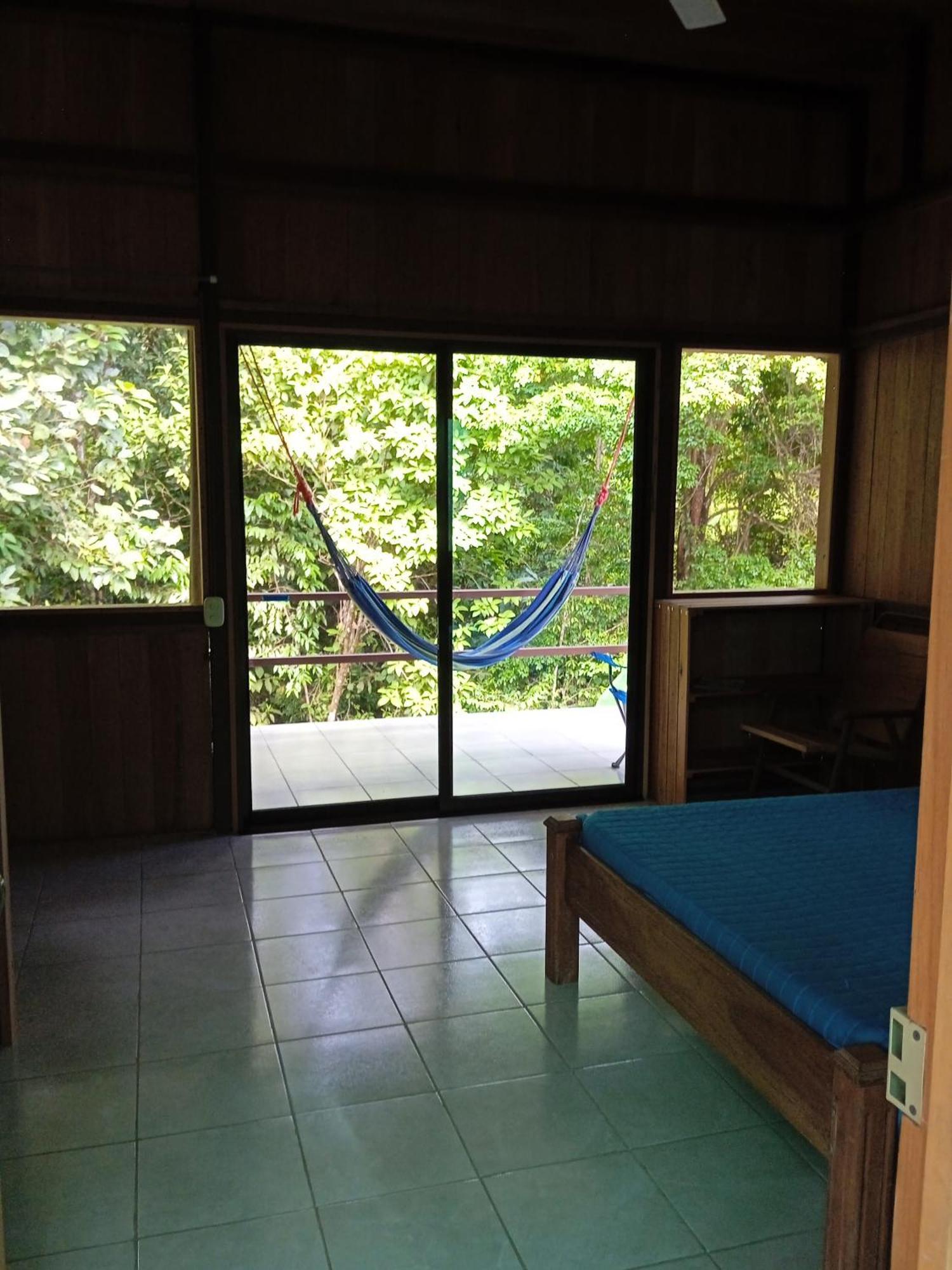 Cabanas Bajo Bosque Drake Drake Bay Exterior photo